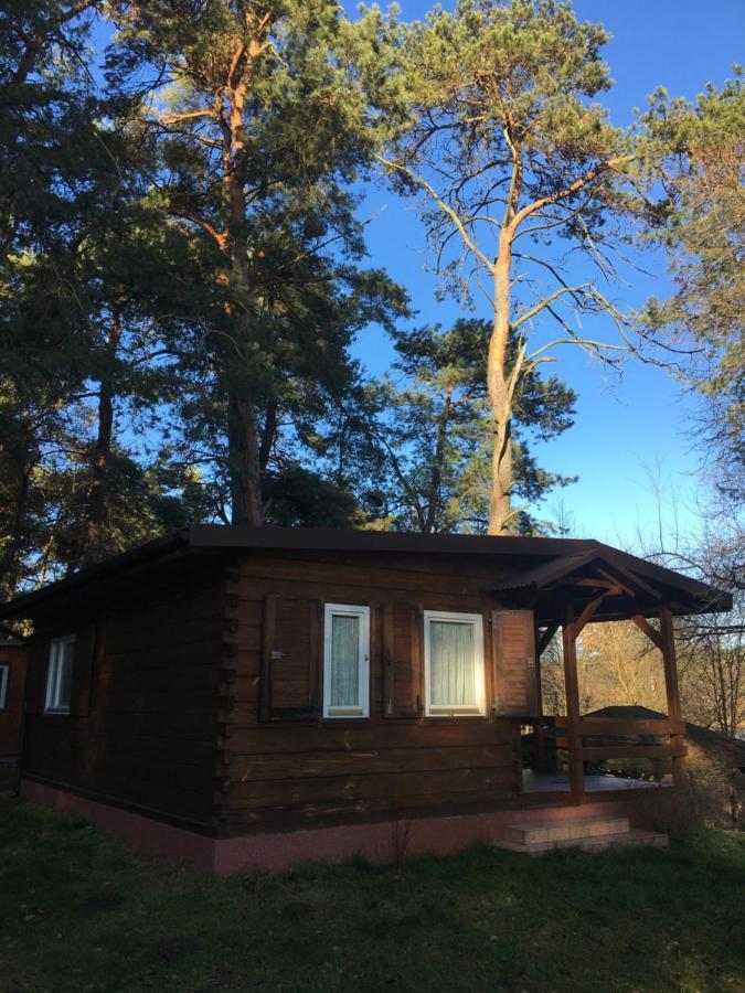 Sosnowy Domek Serpelice Екстериор снимка